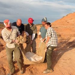 Makovicky, Apesteguia y otros miembros del equipo, junto al fósil.