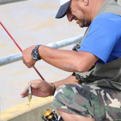 En el muelle predominaron mojarras, trompuditos y pequeños bagres, manteniendo entretenidos a los competidores. Sin embargo, en los primeros tramos de la entrada al club aparecieron las sorpresas.