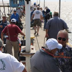 En el muelle predominaron mojarras, trompuditos y pequeños bagres, manteniendo entretenidos a los competidores. Sin embargo, en los primeros tramos de la entrada al club aparecieron las sorpresas.