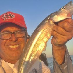 2702_mapa_pique_pesca