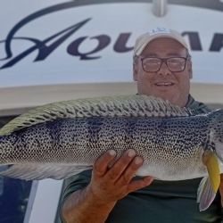 2702_mapa_pique_pesca