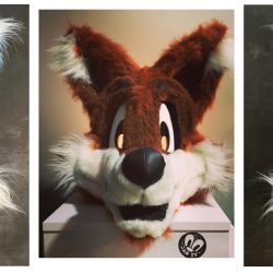 Furry Fandom PC Dantvart