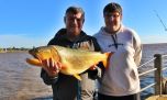 Un encuentro en zona norte mostró lo variable que es la pesca en el Río de la Plata