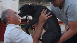 maltrato animal en Corrientes