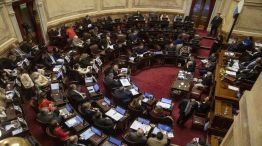 Senado de la Nación