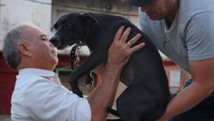 maltrato animal en Corrientes
