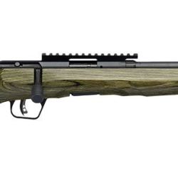 Escopetas de .22 de fuego anular.