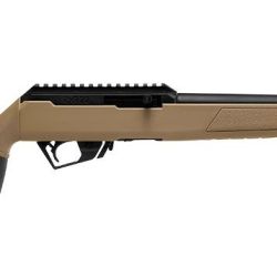 Escopetas de .22 de fuego anular.