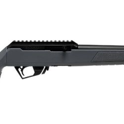 Escopetas de .22 de fuego anular.