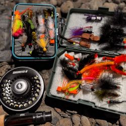 Truchas: grandes trofeos del desierto patagónico.