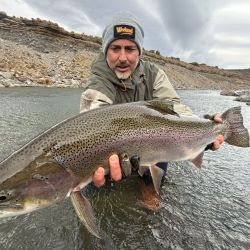 Truchas: grandes trofeos del desierto patagónico.