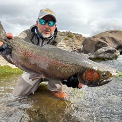 Truchas: grandes trofeos del desierto patagónico.