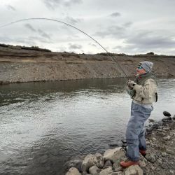 Truchas: grandes trofeos del desierto patagónico.