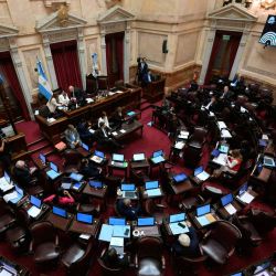 Vista del Senado durante una sesión para debatir la reforma del sistema de justicia penal juvenil y la reforma laboral promovidas por el presidente de Argentina. Foto de Juan Mabromata / AFP | Foto:AFP
