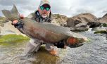 Truchas: grandes trofeos del desierto patagónico