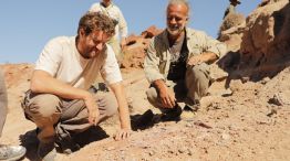 Nuevo_dino_patagonico