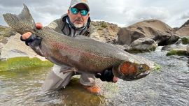 Truchas: grandes trofeos del desierto patagónico.