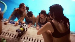 Delfina Pignatiello presenta "Ninfas" 27022026