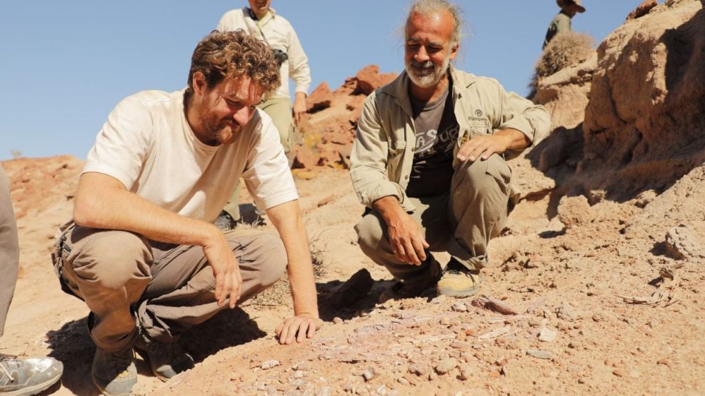 Nuevo_dino_patagonico