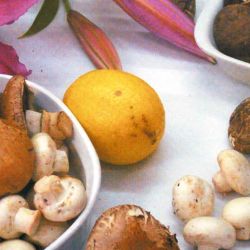 Los alimentos adaptógenos ganan protagonismo por su capacidad de regular el cortisol, fortalecer el sistema nervioso e inmune y promover equilibrio físico y emocional de forma natural. | Foto:Cedoc