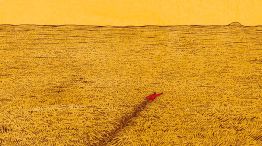 Cuanta tierra necesita un hombre