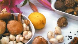 Los alimentos adaptógenos ganan protagonismo por su capacidad de regular el cortisol, fortalecer el sistema nervioso e inmune y promover equilibrio físico y emocional de forma natural.