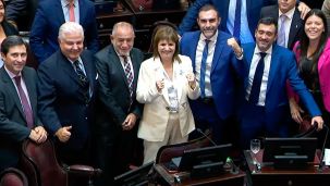 280226_bullrich_senado_capturapantalla_g