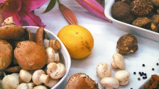 Alimentos adaptógenos: comida para la salud
