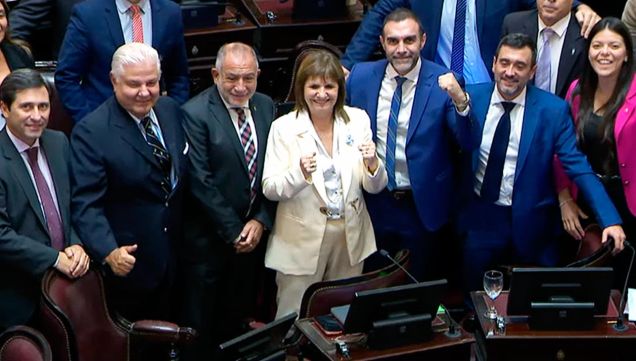 280226_bullrich_senado_capturapantalla_g