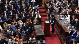 010326_milei_congreso_senado_g