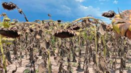 010326_sequia_ambiental_cambio_climatico_cedoc_g