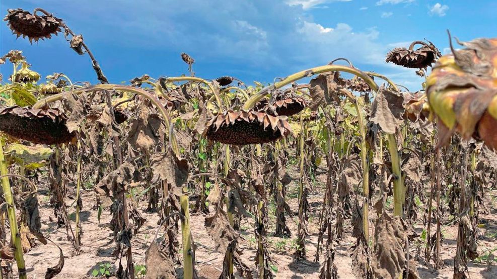 010326_sequia_ambiental_cambio_climatico_cedoc_g