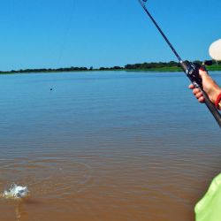 La modalidad a remo ha crecido sostenidamente en los últimos tres años, alcanzando en la edición anterior un récord superior a 600 participantes, lo que anticipa una jornada vibrante y de fuerte impronta deportiva.