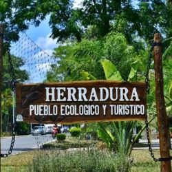 La modalidad a remo ha crecido sostenidamente en los últimos tres años, alcanzando en la edición anterior un récord superior a 600 participantes, lo que anticipa una jornada vibrante y de fuerte impronta deportiva.