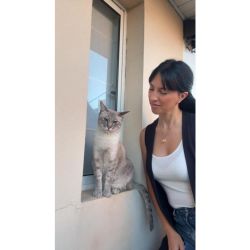 EL PODER DE DECIR “MI” | Foto:CONTENTNOTICIAS