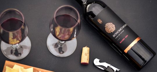 Bienvenida Bodega Bonomo Montiel a Delirio!