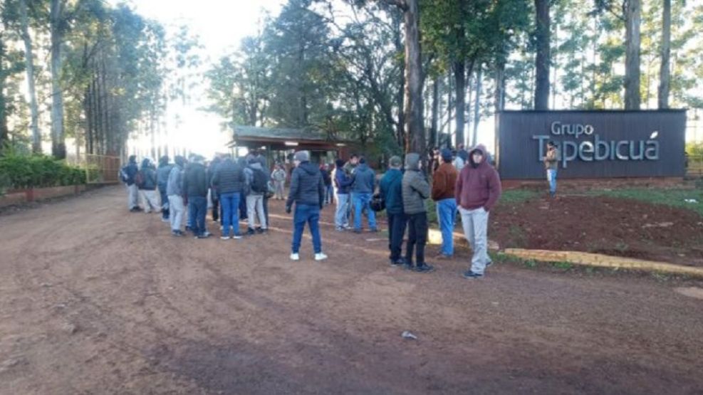 Forestadora Tapebicuá