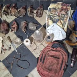 Parte del botín secuestrado.