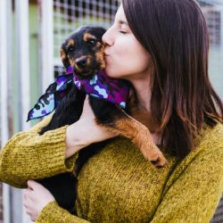 Dividir el proceso en tres días, tres semanas y tres meses permite acompañar con paciencia el cambio y prevenir problemas de conducta.