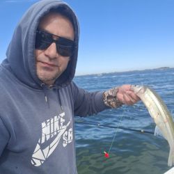 El inicio de marzo dejó en claro que la temporada se acomoda con múltiples opciones a lo largo del país. Con clima favorable y escenarios que comienzan a estabilizarse, el pescador deportivo encuentra hoy un abanico amplio de especies.