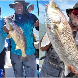 Las grandes corvinas dijeron presente y los portes hablaron por sí solos. Pero la salida no se limitó a la especie objetivo. Grandes bagres de mar, pescadillas combativas, gatuzos rendidores y hasta alguna brótola de dimensiones poco habituales completaron una variada de lujo que confirma la riqueza ictícola de la zona.