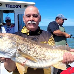Las grandes corvinas dijeron presente y los portes hablaron por sí solos. Pero la salida no se limitó a la especie objetivo. Grandes bagres de mar, pescadillas combativas, gatuzos rendidores y hasta alguna brótola de dimensiones poco habituales completaron una variada de lujo que confirma la riqueza ictícola de la zona.