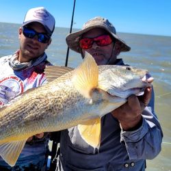 Las grandes corvinas dijeron presente y los portes hablaron por sí solos. Pero la salida no se limitó a la especie objetivo. Grandes bagres de mar, pescadillas combativas, gatuzos rendidores y hasta alguna brótola de dimensiones poco habituales completaron una variada de lujo que confirma la riqueza ictícola de la zona.