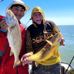 Las grandes corvinas dijeron presente y los portes hablaron por sí solos. Pero la salida no se limitó a la especie objetivo. Grandes bagres de mar, pescadillas combativas, gatuzos rendidores y hasta alguna brótola de dimensiones poco habituales completaron una variada de lujo que confirma la riqueza ictícola de la zona.