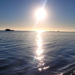 Las grandes corvinas dijeron presente y los portes hablaron por sí solos. Pero la salida no se limitó a la especie objetivo. Grandes bagres de mar, pescadillas combativas, gatuzos rendidores y hasta alguna brótola de dimensiones poco habituales completaron una variada de lujo que confirma la riqueza ictícola de la zona.