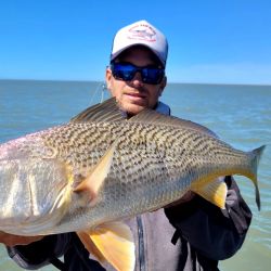 Las grandes corvinas dijeron presente y los portes hablaron por sí solos. Pero la salida no se limitó a la especie objetivo. Grandes bagres de mar, pescadillas combativas, gatuzos rendidores y hasta alguna brótola de dimensiones poco habituales completaron una variada de lujo que confirma la riqueza ictícola de la zona.