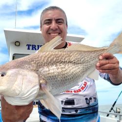 Las grandes corvinas dijeron presente y los portes hablaron por sí solos. Pero la salida no se limitó a la especie objetivo. Grandes bagres de mar, pescadillas combativas, gatuzos rendidores y hasta alguna brótola de dimensiones poco habituales completaron una variada de lujo que confirma la riqueza ictícola de la zona.