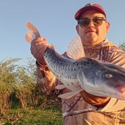 Cayastá confirma temporada tras temporada que el Paraná medio sigue ofreciendo escenarios únicos para el pescador que sabe valorar tanto el pique como la historia que late en cada rincón del litoral santafesino.