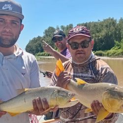 Cayastá confirma temporada tras temporada que el Paraná medio sigue ofreciendo escenarios únicos para el pescador que sabe valorar tanto el pique como la historia que late en cada rincón del litoral santafesino.