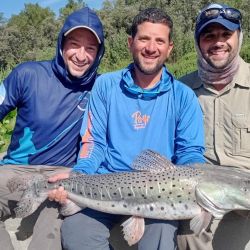 Cayastá confirma temporada tras temporada que el Paraná medio sigue ofreciendo escenarios únicos para el pescador que sabe valorar tanto el pique como la historia que late en cada rincón del litoral santafesino.